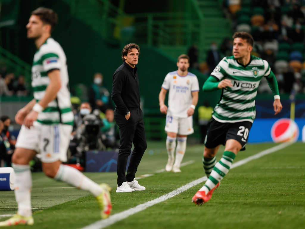 闪烁着明星 闪烁着明星